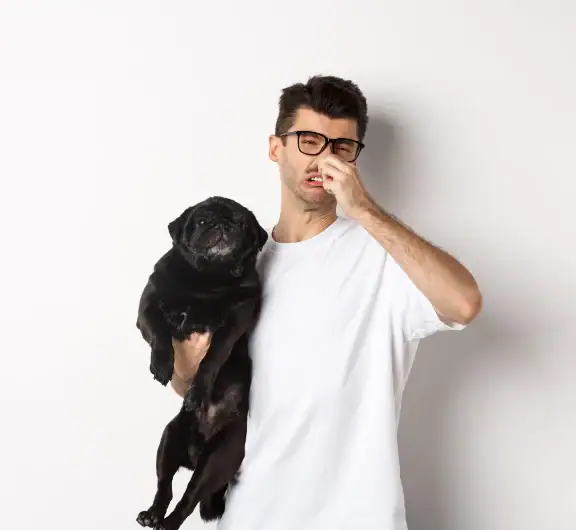 blähungen beim hund